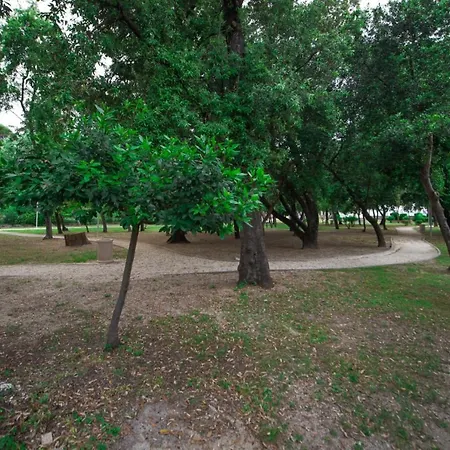 A2 - Spacious Apt W Lodge Just 40M From The Beach Daire *
